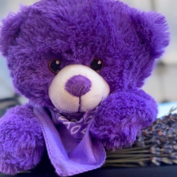 Lavender Bear